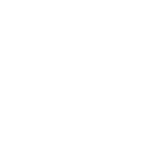 lions-logo